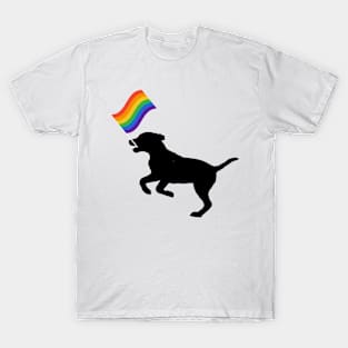 gay pride T-Shirt